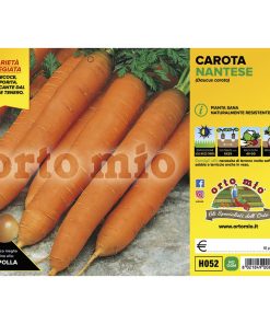 Carota nantese “Soprano F1”