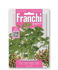 Coriandolo (Semente)