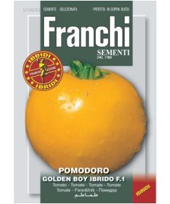 Pomodoro Golden Boy Ibrido F1 (Semente)