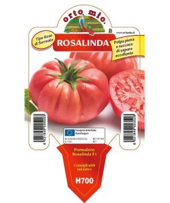 Pomodoro gigante Rosa di Sorrento “Rosalinda F1”