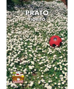 Prato Fiorito (Semente)
