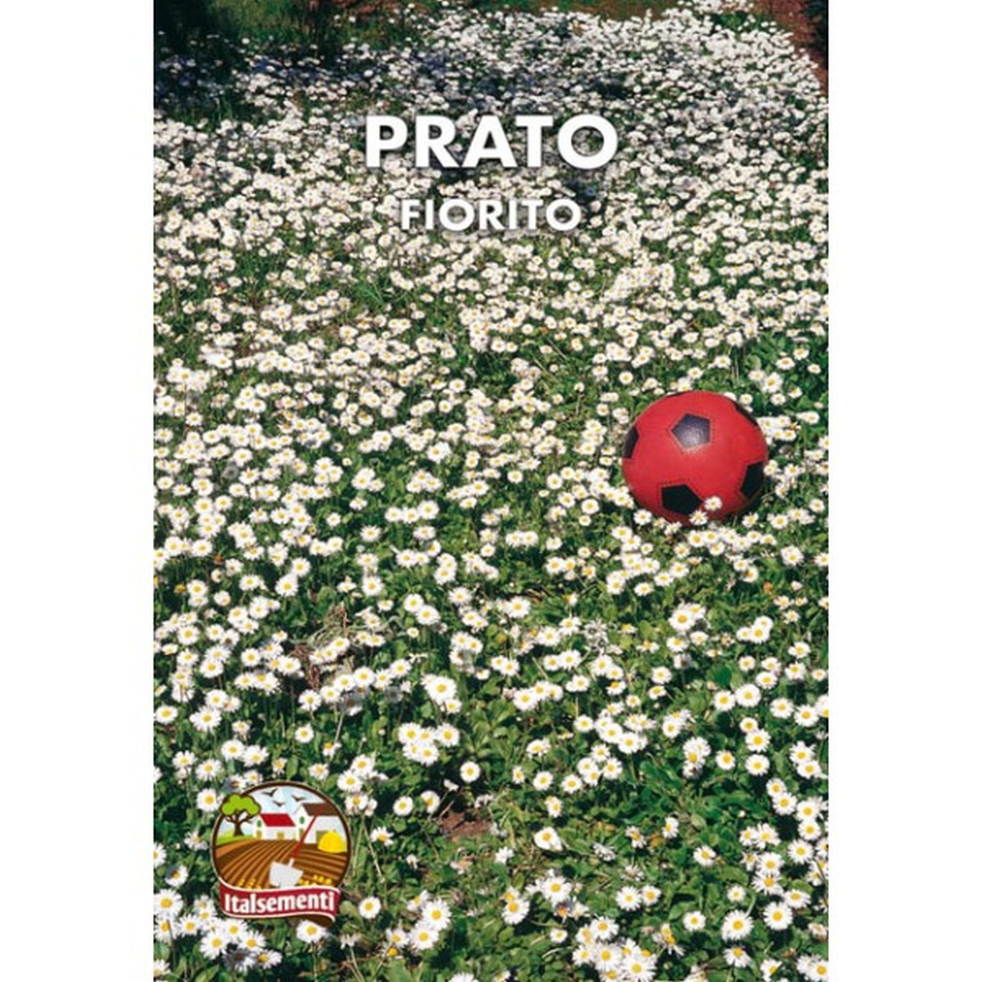 Prato Fiorito (Semente)