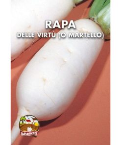 Rapa delle virtù o Rapa martello (Semente)
