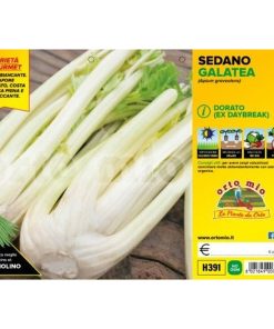 Sedano dorato “Galatea F1”