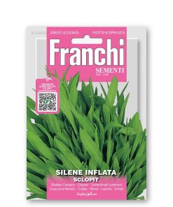 Silene inflata (Semente)