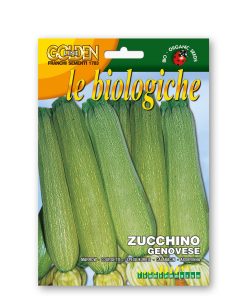 Zucchino genovese (Semente biologica)